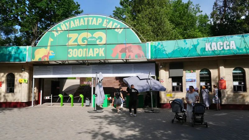 Еще можно успеть: о важной просьбе к горожанам напомнили в зоопарке Алматы