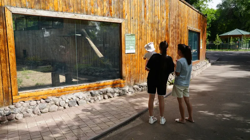 В полиции Алматы сообщили о наказании посетителя зоопарка, бросавшего камни в льва