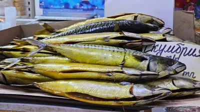 Зеленый базар, рынок, продукты питания, рыба, рыбный отдел, фото - Новости Zakon.kz от 10.12.2025 14:08