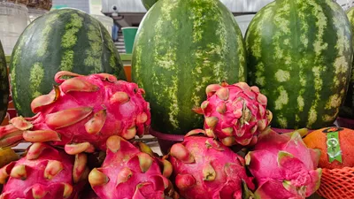 Зеленый базар, рынок, продукты питания, фрукты, фруктовый отдел, цены на фрукты, стоимость фруктов , сурет - Zakon.kz жаңалық 10.12.2025 16:18