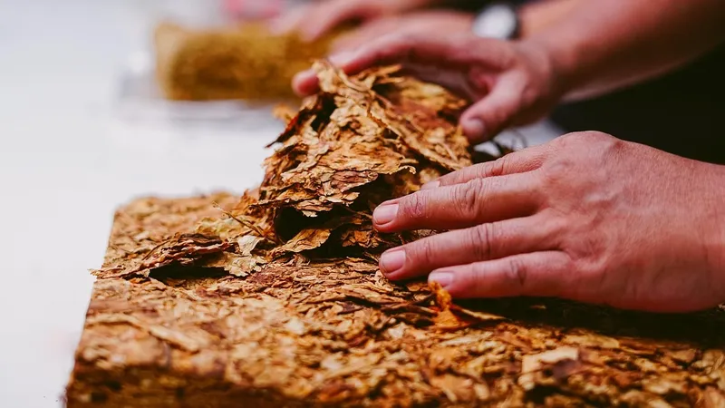 Обновлена форма отчета по предельно допустимому содержанию никотина во всех марках табака