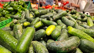 Овощи, супермаркет, маркет, продуктовый, продукты питания, овощной отдел, огурцы, сурет - Zakon.kz жаңалық 14.01.2026 14:49