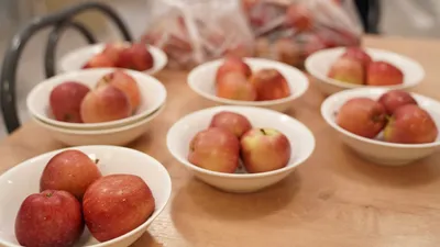 Школьная столовая, еда в школе, школьный буфет, питание в школах, питание в школе, школьное питание, фото - Новости Zakon.kz от 19.08.2025 07:33