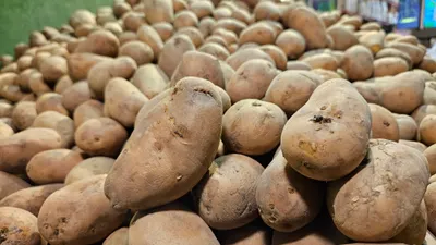 Супермаркет, маркет, магазин, продуктовый магазин, овощи, овощной отдел, картофель, картошка, фото - Новости Zakon.kz от 27.05.2025 09:42