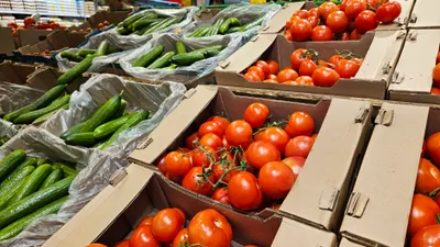 Овощи, супермаркет, маркет, продуктовый, продукты питания, овощной отдел, помидоры, томаты, огурцы, фото - Новости Zakon.kz от 02.03.2026 10:53