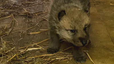 , фото - Новости Zakon.kz от 23.06.2025 13:01