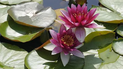 , фото - Новости Zakon.kz от 25.07.2025 13:54