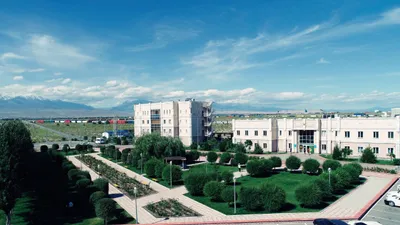 Хоргос-Восточные ворота, фото - Новости Zakon.kz от 23.05.2025 09:51