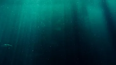 Дно океана, рыбы, лучи, фото - Новости Zakon.kz от 26.05.2025 04:30