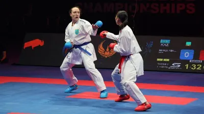 Каратэ, фото - Новости Zakon.kz от 25.05.2025 17:53