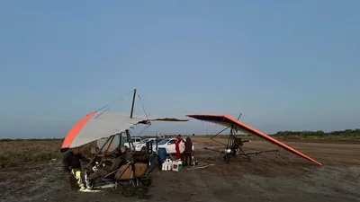 Саранча, обработка , фото - Новости Zakon.kz от 25.05.2025 23:00