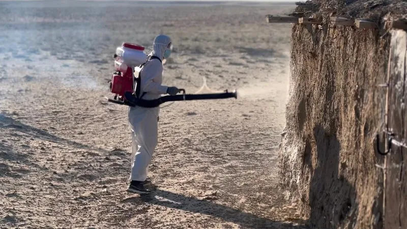 С неба и с земли: в Приаралье началась масштабная борьба с саранчой