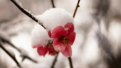 Снегопады и ливни ожидаются в Казахстане 27 мая, фото - Новости Zakon.kz от 26.05.2025 18:21