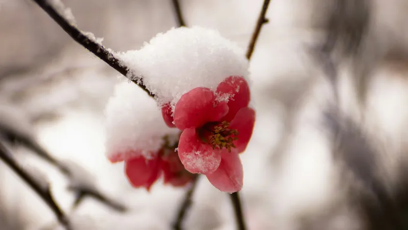 Снегопады и ливни вновь надвигаются на Казахстан