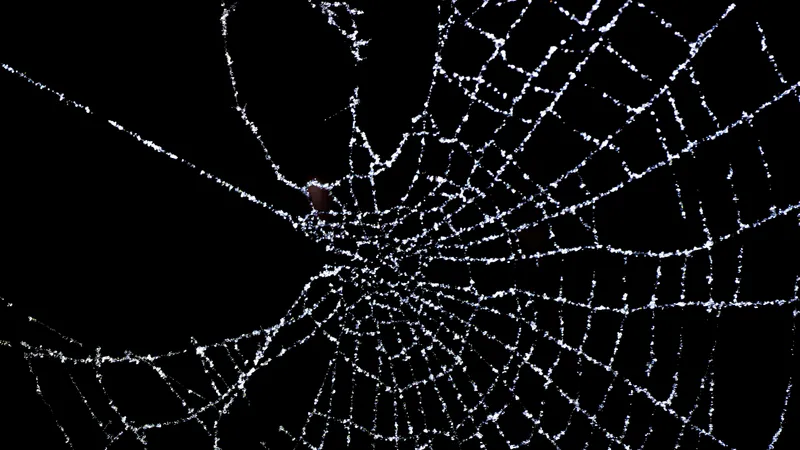 Очередная напасть: в Атырау появились гигантские пауки неизвестного происхождения