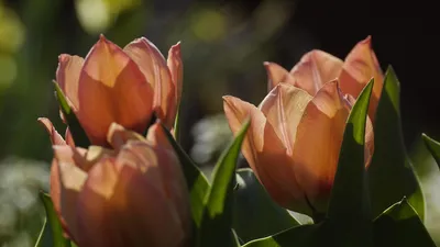 , фото - Новости Zakon.kz от 26.05.2025 18:21