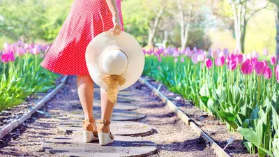 , фото - Новости Zakon.kz от 29.05.2025 12:12