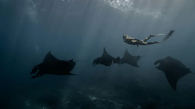 Ученые выяснили, что океан становится темнее