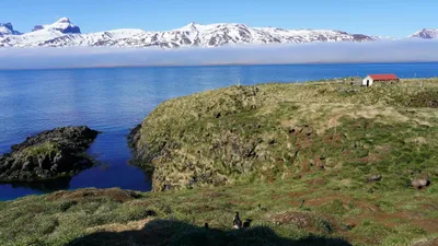 Горы, прогулка, природа, фото - Новости Zakon.kz от 28.05.2025 02:40