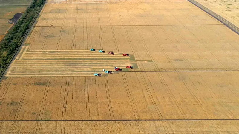 Какие подходы неприемлемы в сельском хозяйстве, рассказал Касым-Жомарт Токаев