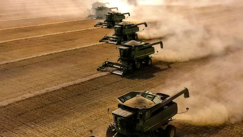 Фермадан экспортқа дейін: Президент Жолдауынан кейін Қазақстан ауыл шаруашылығында не өзгерді