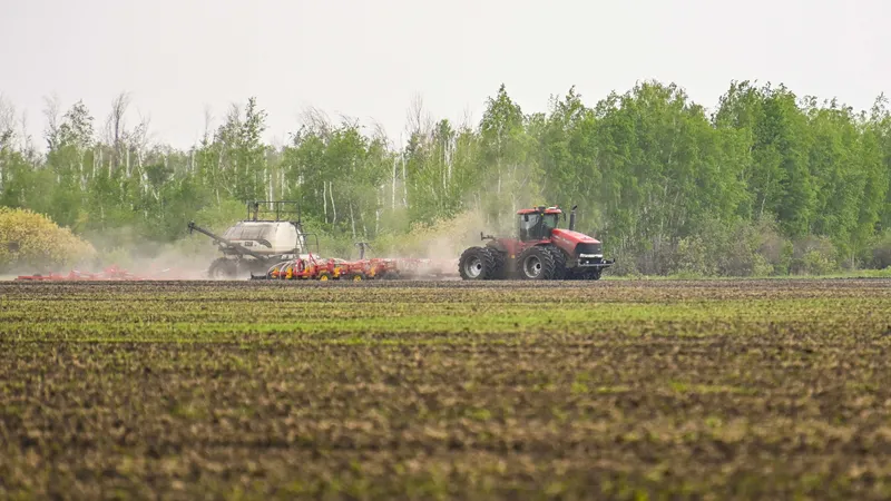 Аренда земли для ведения фермерского и крестьянского хозяйства: внесены изменения