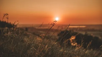 , фото - Новости Zakon.kz от 29.05.2025 18:06