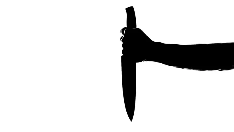 Житель Кокшетау ложно обвинил подругу в ножевом ранении, и теперь его самого ждет суд