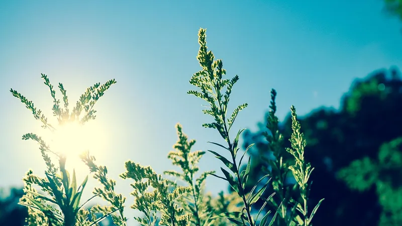 Что строго запрещено делать 29 мая 2025 года и какие приметы существуют