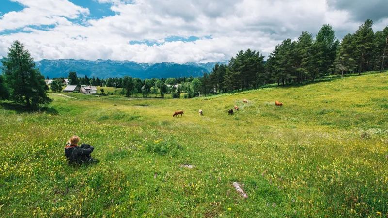 Национальному парку вернули три гектара земли в Алматинской области