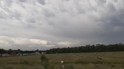 Сельская местность, фото - Новости Zakon.kz от 28.05.2025 12:14