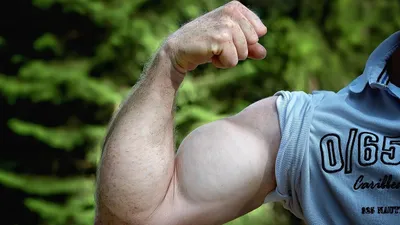 созданы мышцы , фото - Новости Zakon.kz от 28.05.2025 21:05