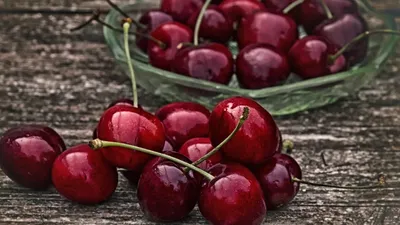 Черешня , фото - Новости Zakon.kz от 30.05.2025 18:49