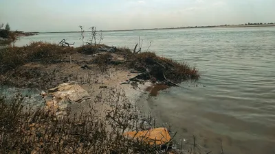 Экология, хвостохранилище Кошкар-ата, фото - Новости Zakon.kz от 30.05.2025 17:28