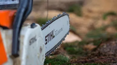 бензлпила, фото - Новости Zakon.kz от 30.05.2025 09:25