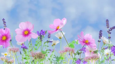 , фото - Новости Zakon.kz от 02.06.2025 11:23