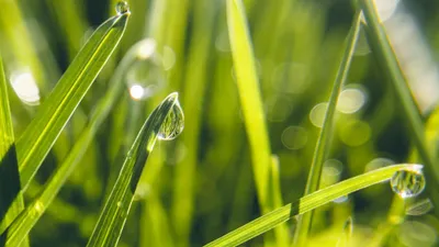 дожди летом, погода, фото - Новости Zakon.kz от 31.05.2025 10:01