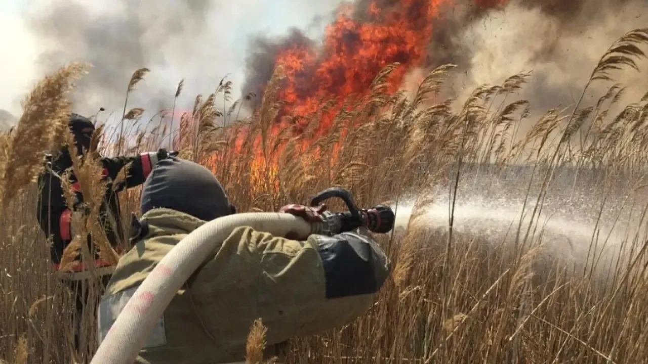 Полдың эротикалық фотосы