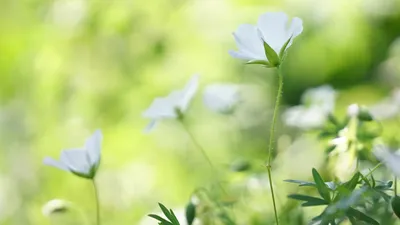 особый праздник 3 июня, приметы, можно, нельзя, традиции, фото - Новости Zakon.kz от 02.06.2025 14:42
