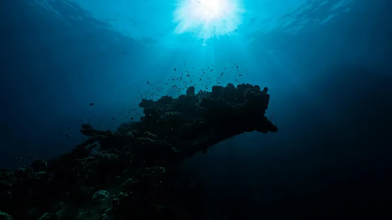 Ученые нашли древнее кладбище на дне океана