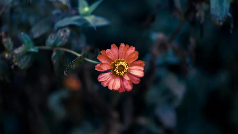 Названы знаки зодиака, которые скрывают страсть под маской скромности