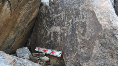 Памятник, археология, ученые , фото - Новости Zakon.kz от 02.06.2025 18:36