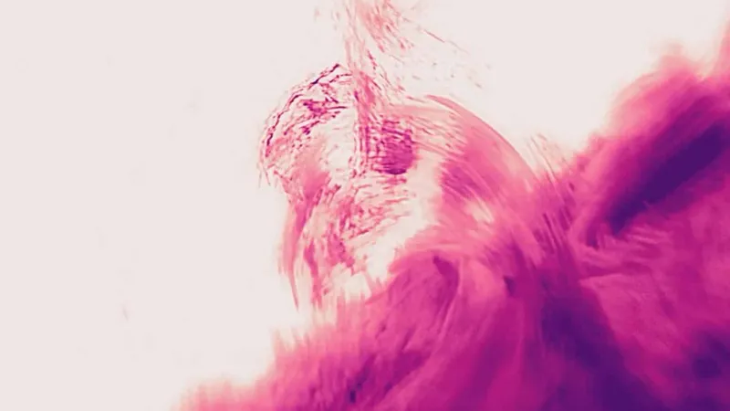 Солнце впервые рассмотрели с рекордным разрешением