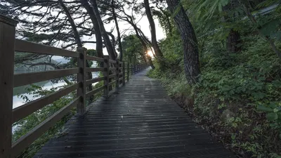 как облегчить боль в спине без лекарств, фото - Новости Zakon.kz от 03.06.2025 19:13