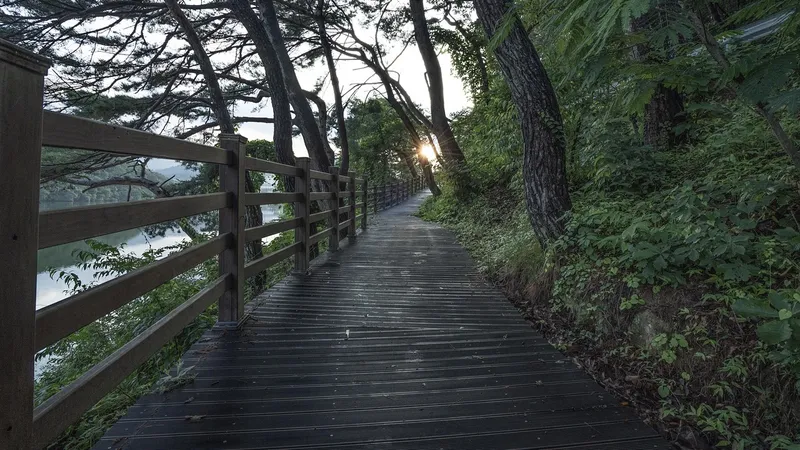 Как облегчить боль в спине без лекарств