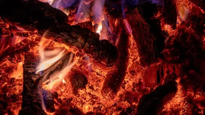 археологи выдвинули новую теорию, фото - Новости Zakon.kz от 04.06.2025 01:56