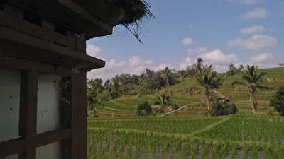 Дом, курорт, пальмы, фото - Новости Zakon.kz от 04.06.2025 08:03