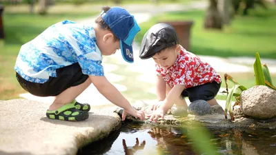 совет, фото - Новости Zakon.kz от 05.06.2025 08:01