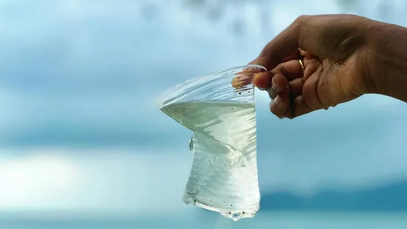 В Японии изобрели мгновенно растворяющийся в морской воде пластик