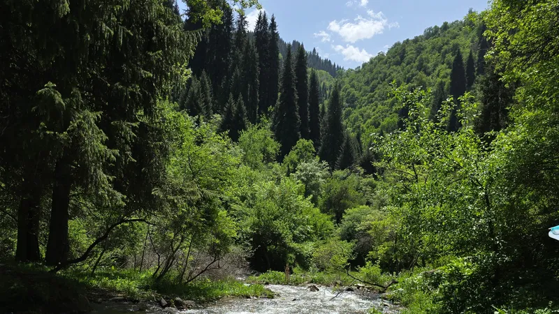 Жара до 34 градусов и дожди: погода в Алматы на неделю